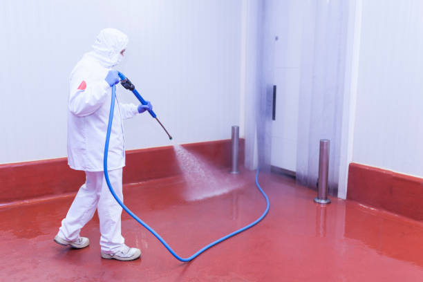 Reliable Avoca, PA Pressure Washing Services Solutions