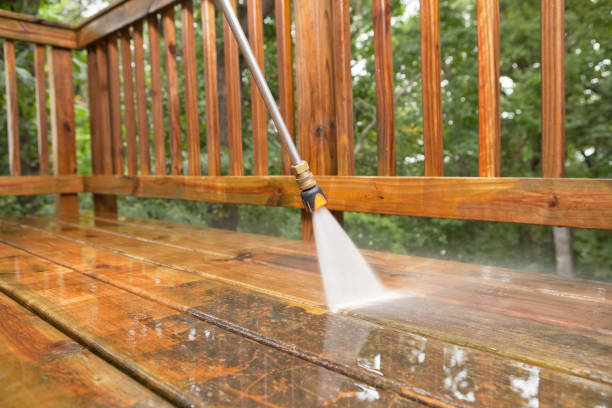 Best Rust Removal  in Avoca, PA